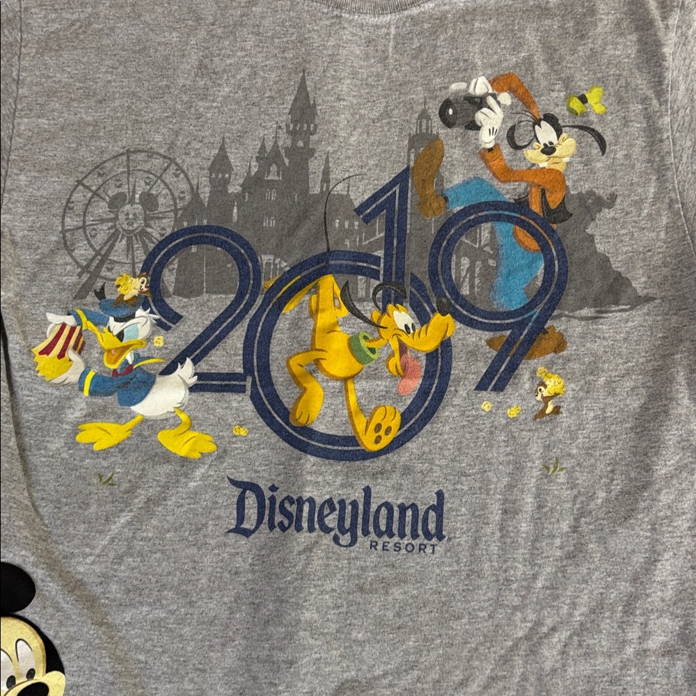 Disneyland 2019 Mickey Mouse Pluto Goofy Donald Graphic Tee Gray Size Small - Picture 4 of 7